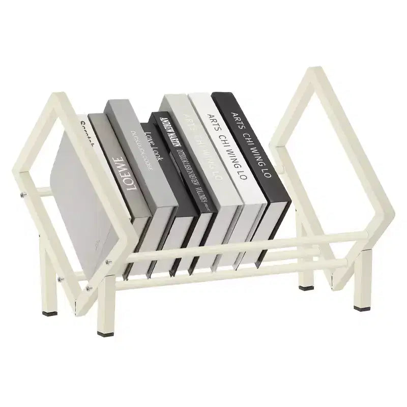 Rivista in acciaio inossidabile CD Storage Scrivania Libreria decorativa